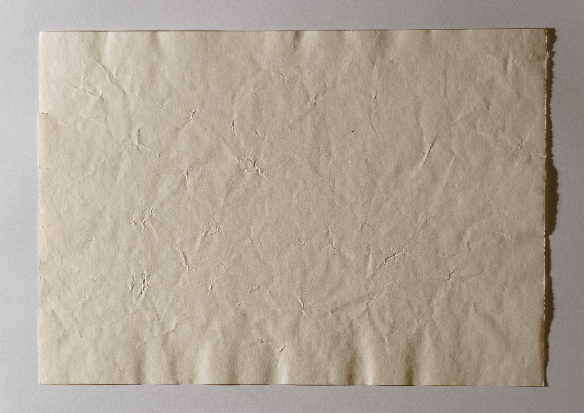 Apollo Beach by Robert Blatt, page 5, back