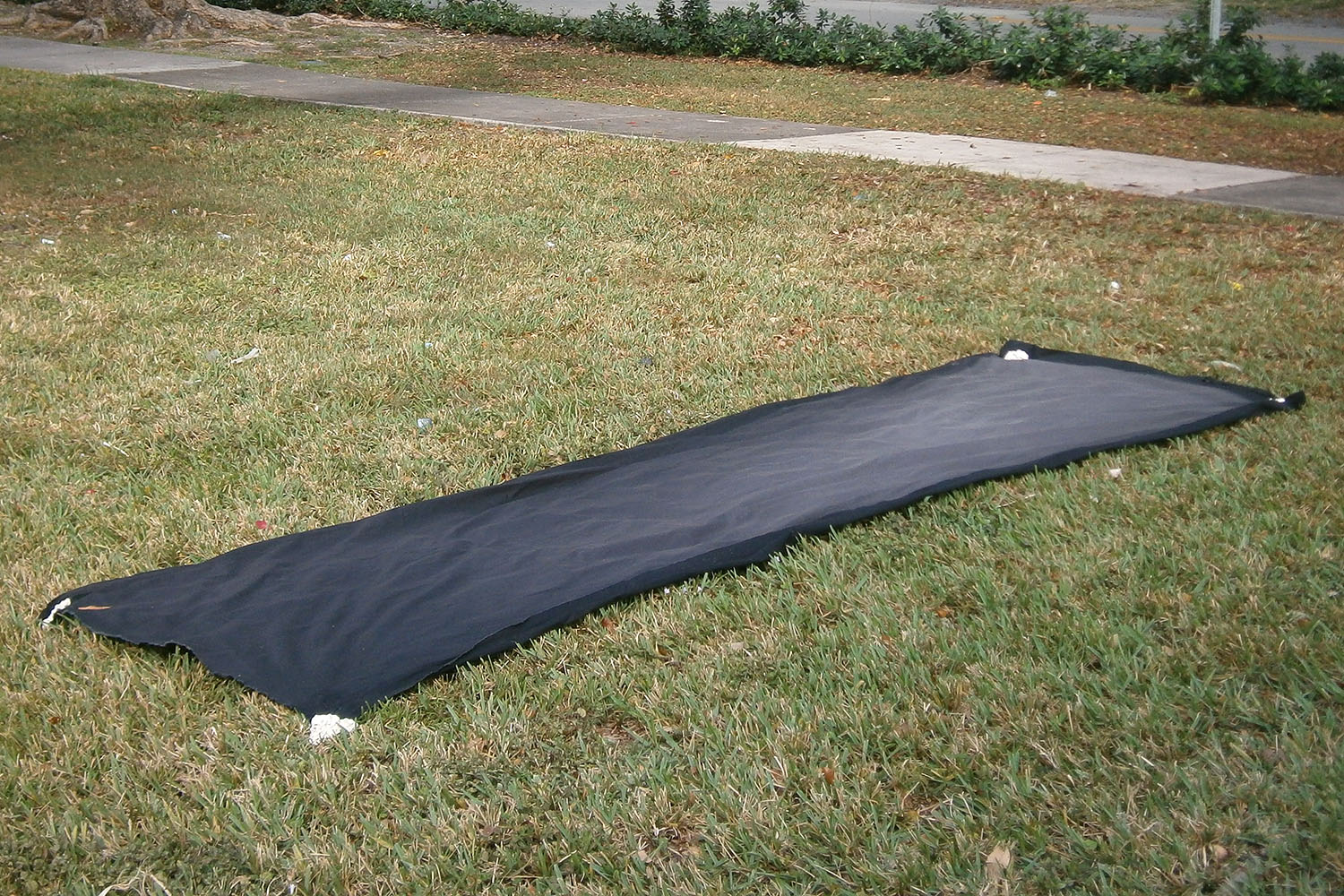 Bleachfield -12 May 2017- by Robert Blatt