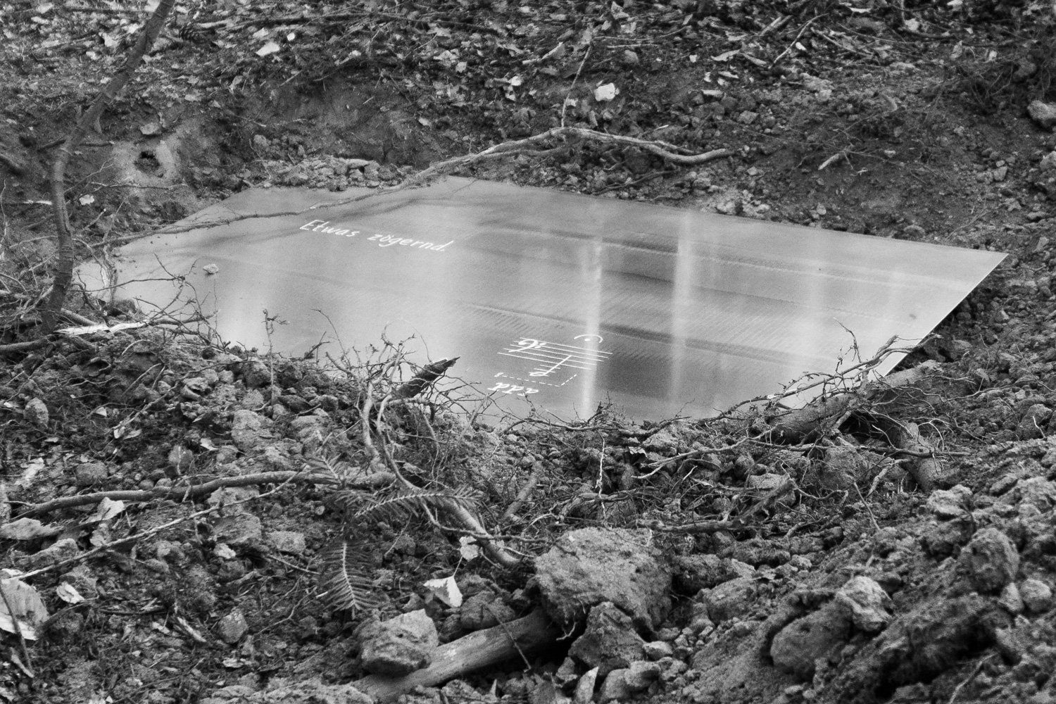 image of Das Irdische Leben by Robert Blatt