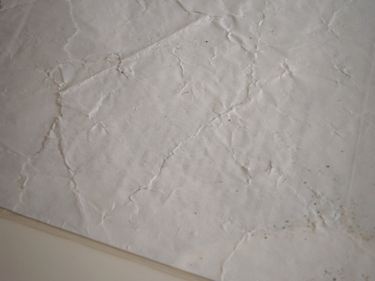 I Love the Sea by Robert Blatt