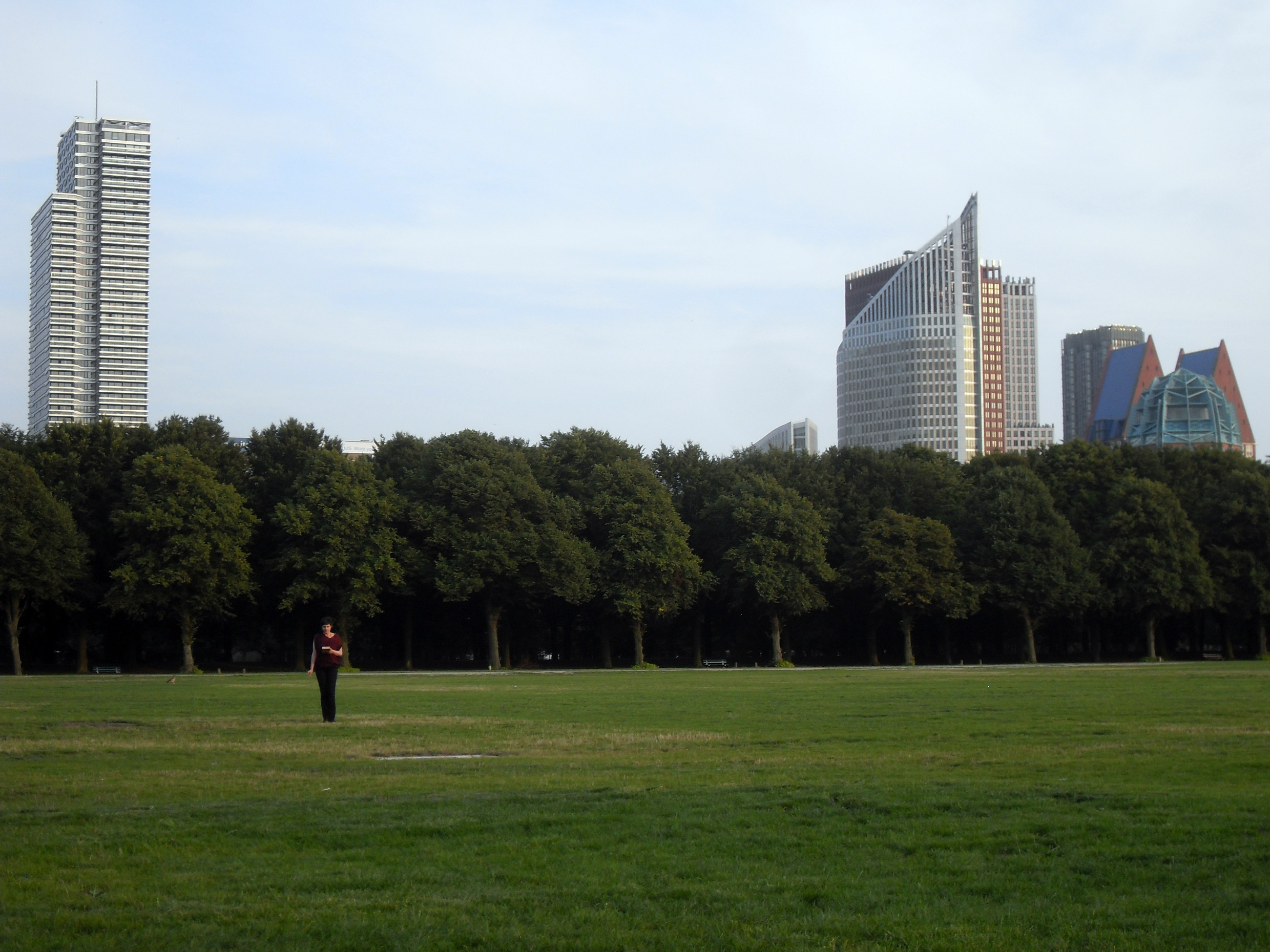 Walking Listening by Robert Blatt