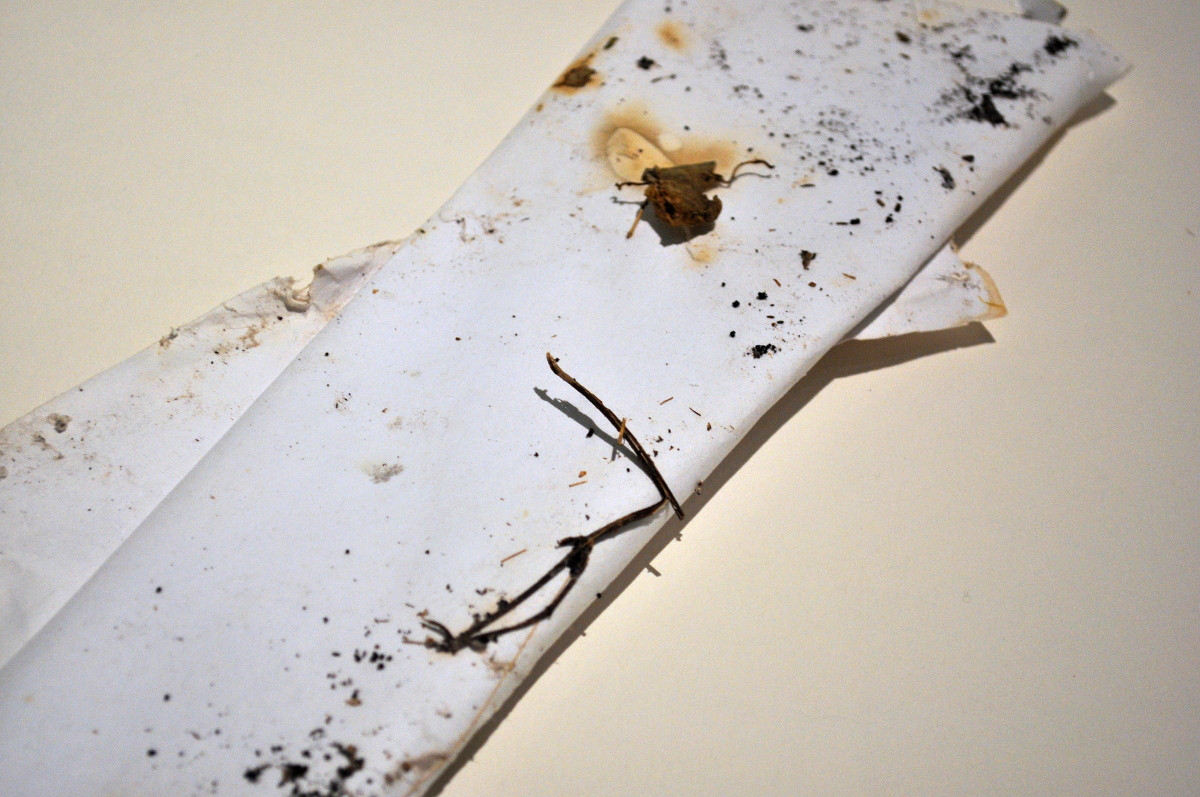 There arose a great tempest in the sea (2) by Robert Blatt